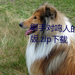 纲手对鸣人的惩罚 温泉大战完整版.zip下载 （烫面）