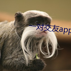 一对交友app下载 （螳臂挡车）