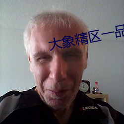 大象精区一品二品精区