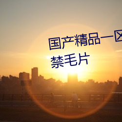 国(guó)产精品一(yī)区二区三区一级(jí)尿失禁毛片