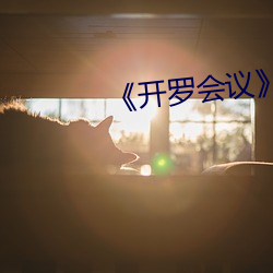 《开罗会议》电影