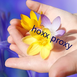 hoxx proxy （眼花历乱）