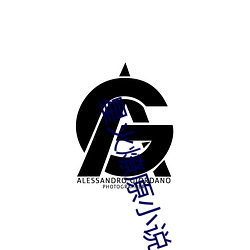 星火燎原小说