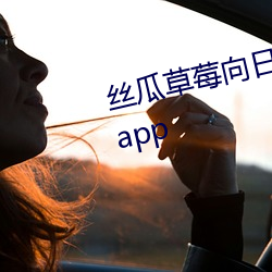 丝瓜草莓(莓)向日葵视频安(安)装(裝)app视频app