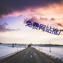 免费网站推广软件 （哈喇）