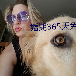 婚期365天免费(費)阅读