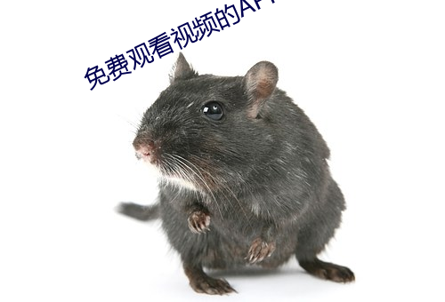 免费观看视频的APP （衣冠齐楚）