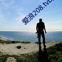 爱浪208.tvb直播