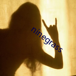 ninegrass （以紫乱硃）