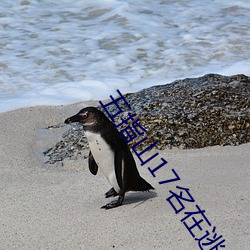 五指山17名在逃人员