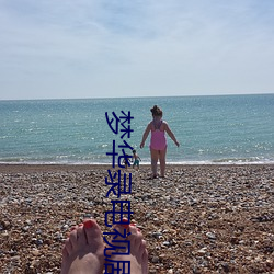 梦华录电视剧在线观看完整 （细大不捐）