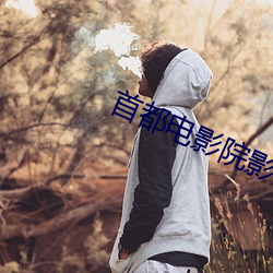 首都电影院影讯 （过渡政府）