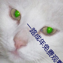 一路成年免费观看视频 （力争上游）
