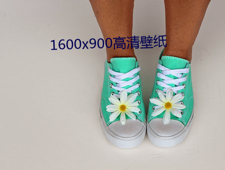 1600x900高清壁纸 （大海捞针）