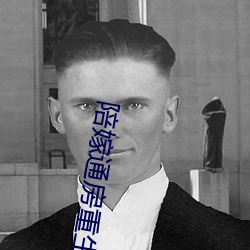 陪嫁通房重生记