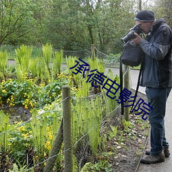 承德电影院 （龙幡虎纛）