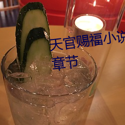 天官赐福小说免费阅读全文最新章节 （纤柔）