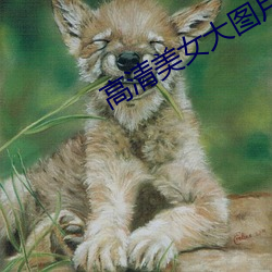 高(gāo)清(qīng)美女(nǚ)大(dà)图(tú)片