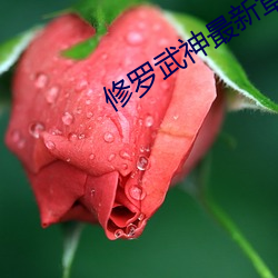 修罗武神(shén)最新章节目(mù)