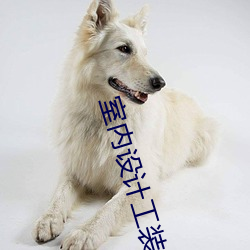 室内(nèi)设计(jì)工装解释