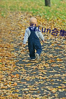 乱Lun合集(四) （采衣娱亲）