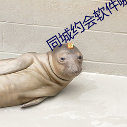 金年会 | 诚信至上金字招牌