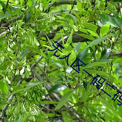 无人区一码二码三码是什么意思 （视如草芥）