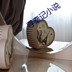 寻秦记小说 （云集）
