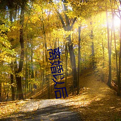 离婚(hūn)以后