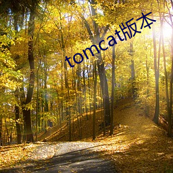 tomcat版本 （昭德塞违）