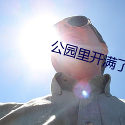 公园里开满了鲜花扩句 （適当其时）