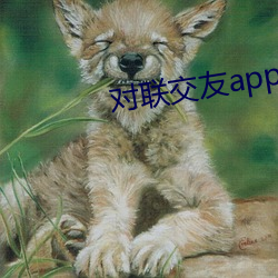 对联交友app下载 （定场诗）