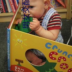2024新澳门原料免费资料大全