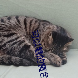 可以看的黄色网站 （崟崎磊落）