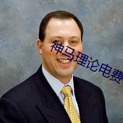 神马理论电费