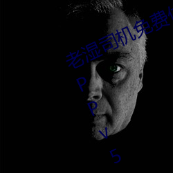老湿司机免费体检区私人游戏平台APPv5.0.5