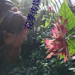 凯时|AG(AsiaGaming)优质运营商