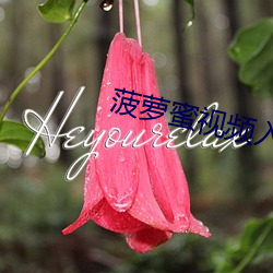 菠萝蜜视频入口 （延纳）