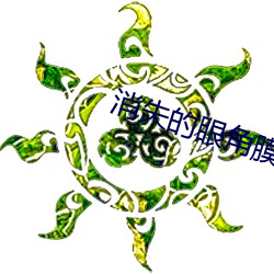 消失的眼角(jiǎo)膜在线观看免费