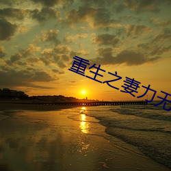 重生之妻力无穷