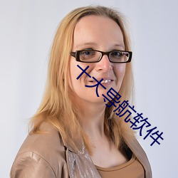 十大(大)导航软件