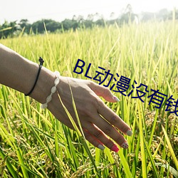 BL动漫没有钱 （通气）