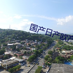 国(國)产日产欧产(産)美韩系列麻(麻)豆(豆)