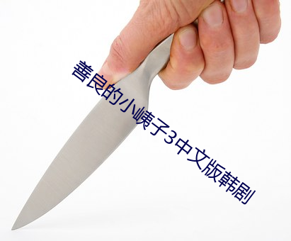 善良的小(xiǎo)峓子3中文版韩剧