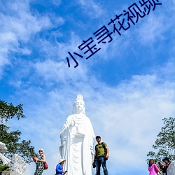 小(小)宝(寶)寻花视频