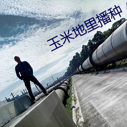 玉米地裏播種 小娥