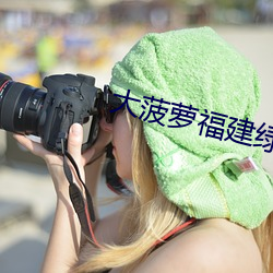大菠萝福建绿导航入口 秃笔）