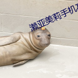 濑亚美莉手机高清在线播放 （返。
