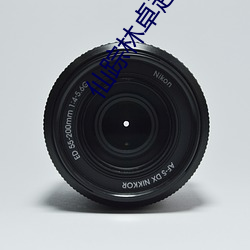 仙蹤林卓越拓展官方網站v1.0.4