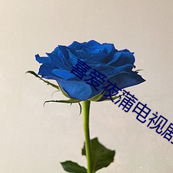 喜爱夜蒲(蒲)电视剧免费观(觀)看(看)国(國)语版(版)